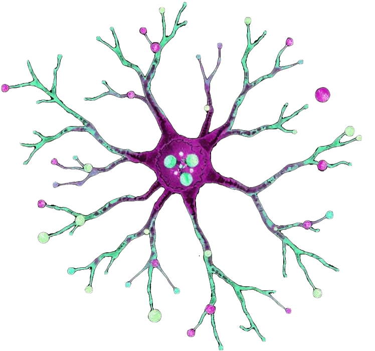 Neurônio científico colorizado em magenta e menta